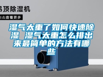 企業(yè)新聞濕氣太重了如何快速除濕 濕氣太重怎么排出來最簡(jiǎn)單的方法有哪些