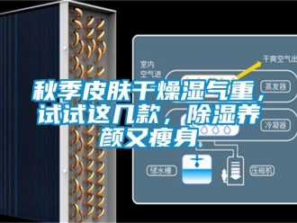 行業(yè)新聞秋季皮膚干燥濕氣重，試試這幾款，除濕養(yǎng)顏又瘦身