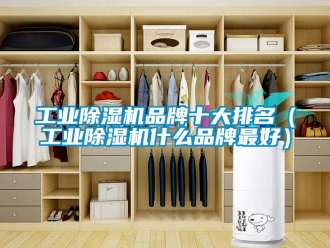 常見問題工業除濕機品牌十大排名（工業除濕機什么品牌最好）