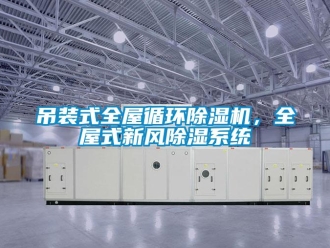 常見問題吊裝式全屋循環除濕機，全屋式新風除濕系統