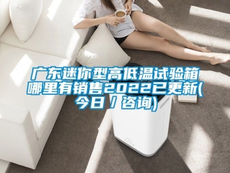 常見(jiàn)問(wèn)題廣東迷你型高低溫試驗(yàn)箱哪里有銷(xiāo)售2022已更新(今日／咨詢(xún))