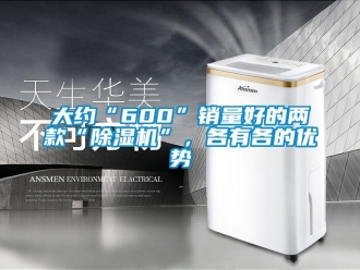 行業新聞大約“600”銷量好的兩款“除濕機”，各有各的優勢