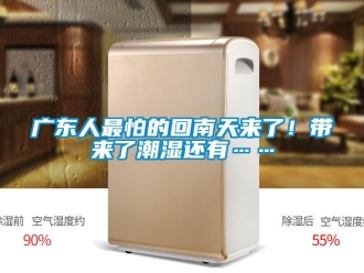行業新聞廣東人最怕的回南天來了！帶來了潮濕還有……