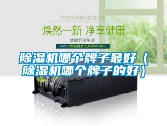 行業(yè)新聞除濕機(jī)哪個牌子最好（除濕機(jī)哪個牌子的好）