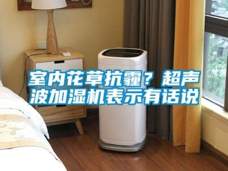 知識百科室內花草抗霾？超聲波加濕機表示有話說