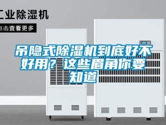 行業新聞吊隱式除濕機到底好不好用？這些眉角你要知道