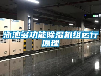 行業新聞泳池多功能除濕機組運行原理