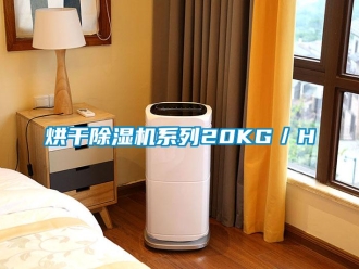 行業新聞烘干除濕機系列20KG／H