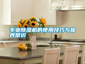 知識百科專業除濕機的使用技巧與保養常識