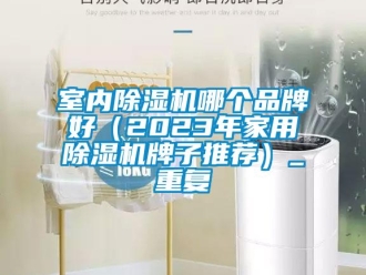 企業新聞室內除濕機哪個品牌好（2023年家用除濕機牌子推薦）_重復