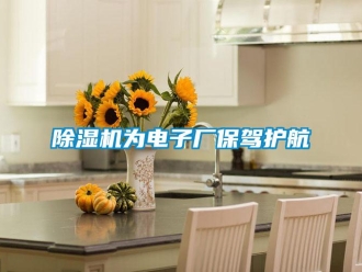 企業(yè)新聞除濕機(jī)為電子廠保駕護(hù)航