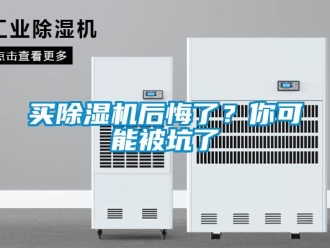 行業新聞買除濕機后悔了？你可能被坑了