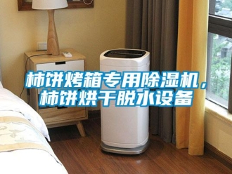 知識百科柿餅烤箱專用除濕機，柿餅烘干脫水設備