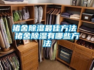 企業新聞豬舍除濕最佳方法 豬舍除濕有哪些方法