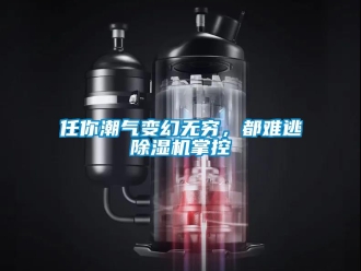 行業(yè)新聞任你潮氣變幻無窮，都難逃除濕機(jī)掌控