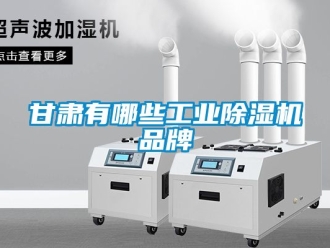 常見問題甘肅有哪些工業(yè)除濕機(jī)品牌