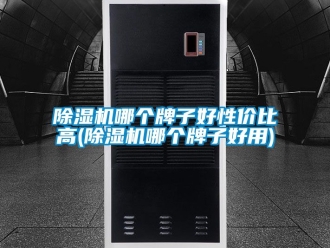 行業(yè)新聞除濕機(jī)哪個(gè)牌子好性價(jià)比高(除濕機(jī)哪個(gè)牌子好用)