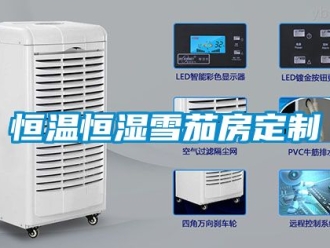 知識(shí)百科恒溫恒濕雪茄房定制