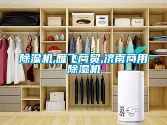 常見問題除濕機,雁飛商貿,濟南商用除濕機