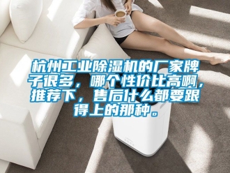 企業(yè)新聞杭州工業(yè)除濕機(jī)的廠家牌子很多，哪個(gè)性價(jià)比高啊，推薦下，售后什么都要跟得上的那種。