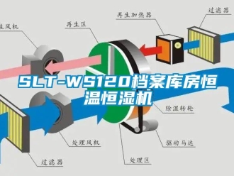 常見問題SLT-WS120檔案庫房恒溫恒濕機(jī)