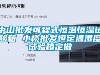 知識百科中山批發可程式恒溫恒濕試驗箱 小欖批發恒定溫濕度試驗箱定做