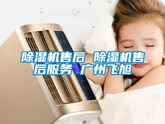 行業新聞除濕機售后 除濕機售后服務 廣州飛旭