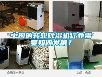 常見問題中國的轉輪除濕機行業需要如何發展？