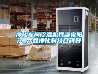 企業(yè)新聞凈化車(chē)間除濕機(jī)找哪家陽(yáng)江_六鑫凈化科技口碑好