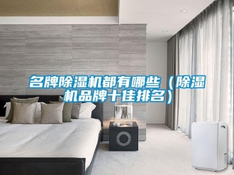 企業新聞名牌除濕機都有哪些（除濕機品牌十佳排名）
