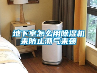 常見問題地下室怎么用除濕機來防止潮氣來襲