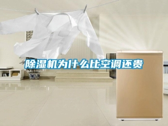 企業(yè)新聞除濕機(jī)為什么比空調(diào)還貴