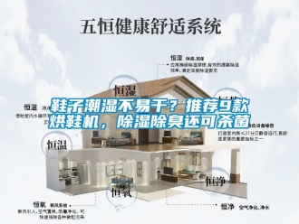 行業新聞鞋子潮濕不易干？推薦9款烘鞋機，除濕除臭還可殺菌