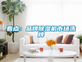 行業(yè)新聞看點：品牌除濕機市場洗牌