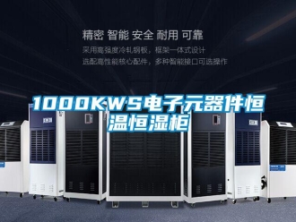 常見問題1000KWS電子元器件恒溫恒濕柜