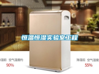 知識百科恒溫恒濕實驗室工程