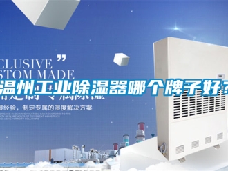 行業(yè)新聞溫州工業(yè)除濕器哪個牌子好？