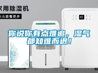 行業(yè)新聞你說你有點難追，濕氣都知難而退！