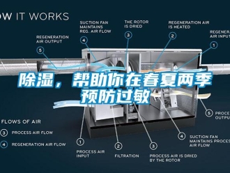 常見問題除濕，幫助你在春夏兩季預(yù)防過敏