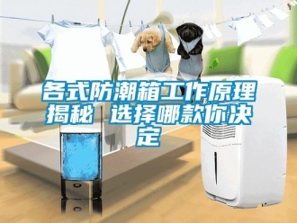 常見問題各式防潮箱工作原理揭秘 選擇哪款你決定