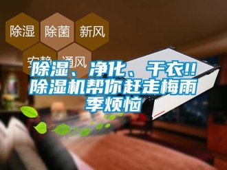 常見問題除濕、凈化、干衣!!除濕機幫你趕走梅雨季煩惱
