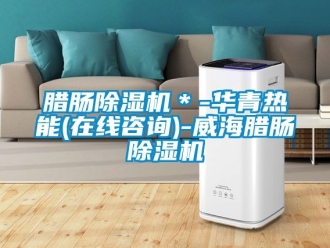 行業新聞臘腸除濕機＊-華青熱能(在線咨詢)-威海臘腸除濕機