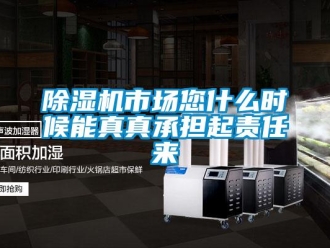 企業(yè)新聞除濕機(jī)市場(chǎng)您什么時(shí)候能真真承擔(dān)起責(zé)任來(lái)