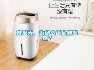 企業(yè)新聞高溫天，為什么還會潮濕呢？