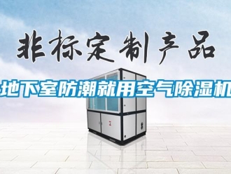 行業(yè)新聞地下室防潮就用空氣除濕機(jī)
