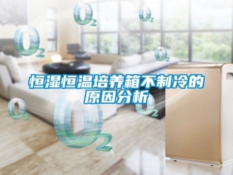 知識百科恒濕恒溫培養箱不制冷的原因分析