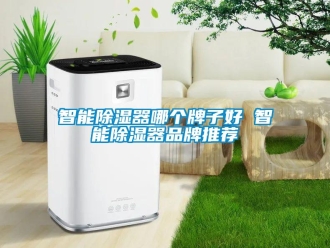 行業新聞智能除濕器哪個牌子好 智能除濕器品牌推薦