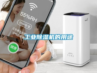 企業新聞工業除濕機的用途