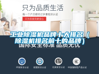 常見問題工業除濕機品牌十大排名（除濕機排名前十的品牌）