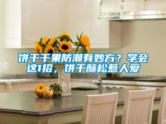 企業(yè)新聞餅干干果防潮有妙方？學(xué)會這1招，餅干酥松惹人愛